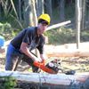 Blokáda dřevorubců na Šumavě