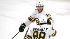 NHL: Boston Bruins at Florida Panthers hokej Pavel Zacha David Pastrňák