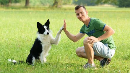 Z bankéře trenérem psů: Z práce jsem chodil jako zombie. Teď trénuju víc lidi než psy
