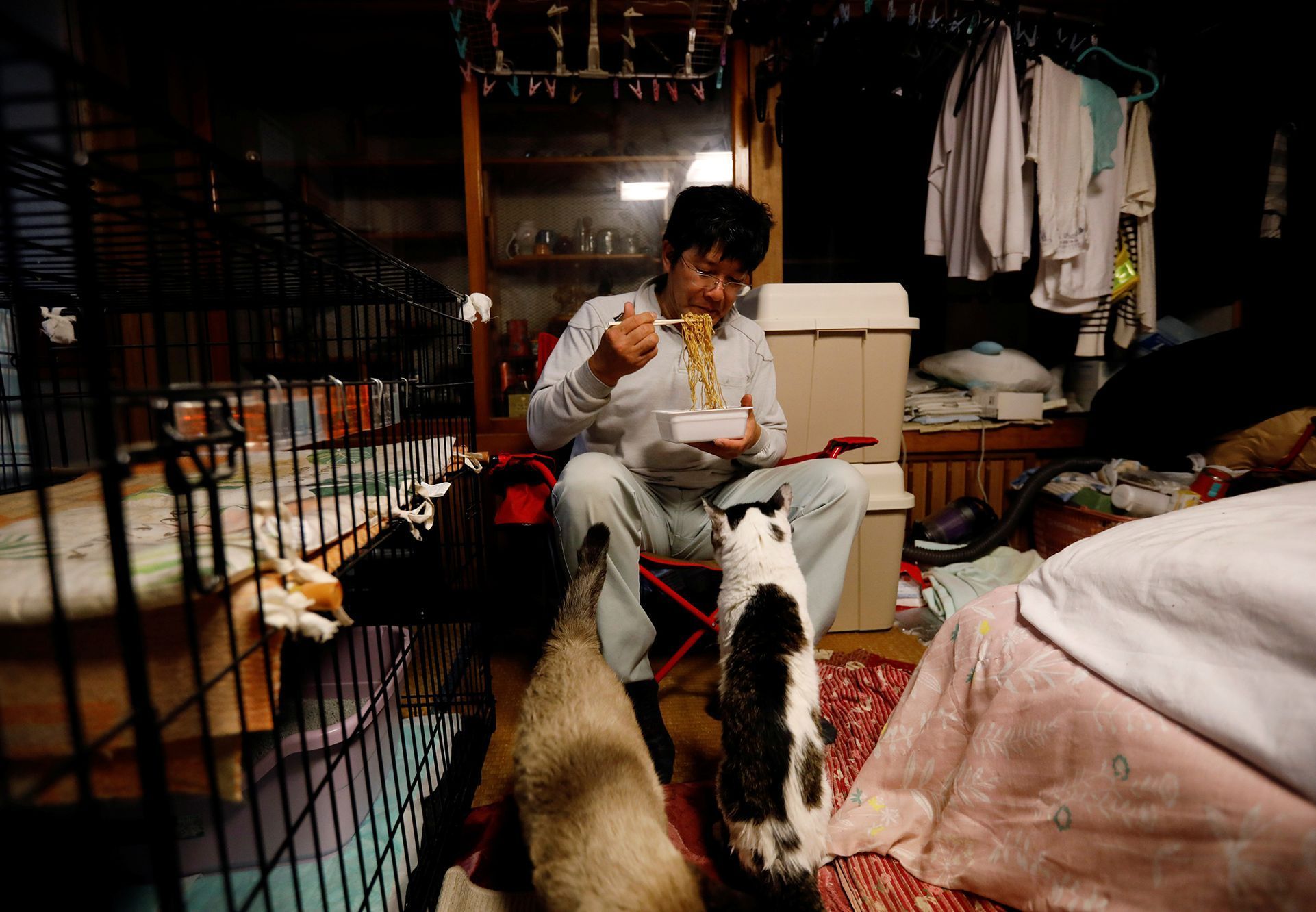 Fotogalerie / Tak pracuje spasitel opuštěných koček v japonské Fukušimě