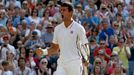 Djokovič vs. Del Potro, semifinále Wimbledonu 2013.