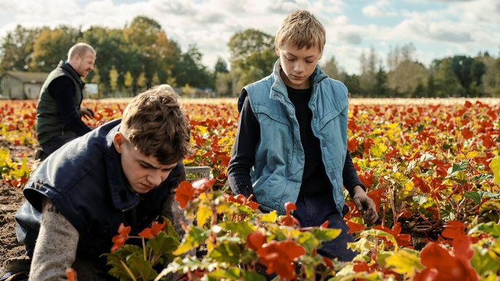 Svíravý tlak, traumatická vina. Film Blízko vypráví o chlapeckých emocích; Zdroj foto: Artcam Films