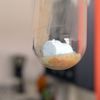Laboratoře Státní zemědělské a potravinářské inspekce