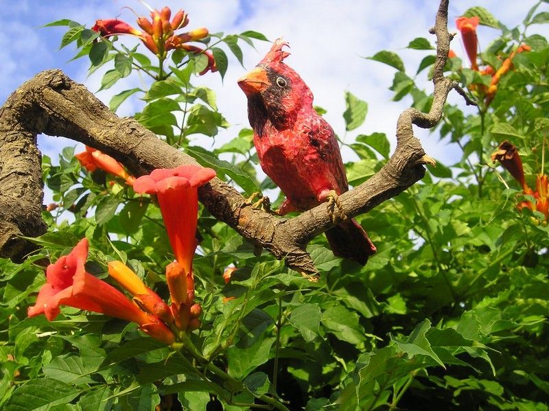 Výstava Zvěrstvo - Kardinál červený (Cardinalis cardinalis) kolorovaná plastika z papíru, délka 14 cm, větev 94 cm, 1992