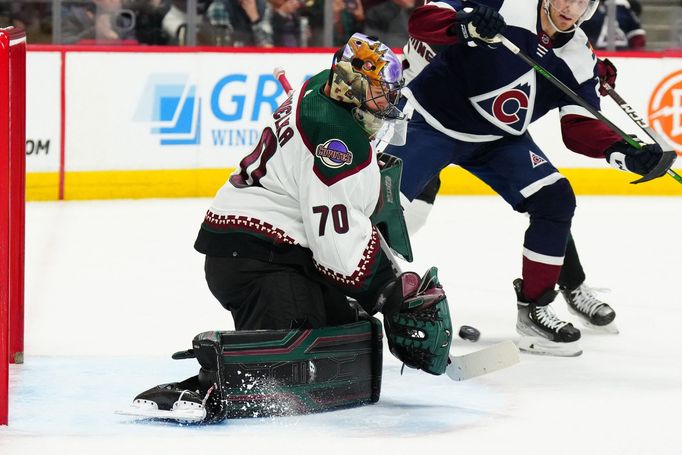 Brankář týmu NHL Arizona Coyotes Karel Vejmelka