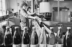 Aby i řidiči za socialismu mohli pít pivo. Pito, český vynález, slaví 50. narozeniny