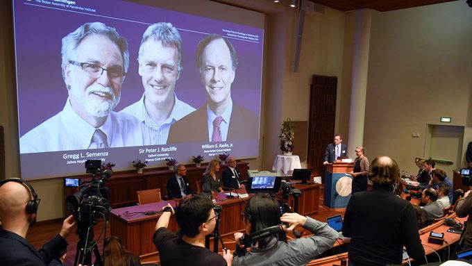 Nobelova cena za lékařství za rok 2019. Na snímku zleva Gregg L. Semenza, Peter J. Ratcliffe a William G. Kaelin Jr.