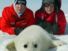Exbeatle Paul McCartney s manželkou Heather pózovali fotografům s roztomilým tuleněm.