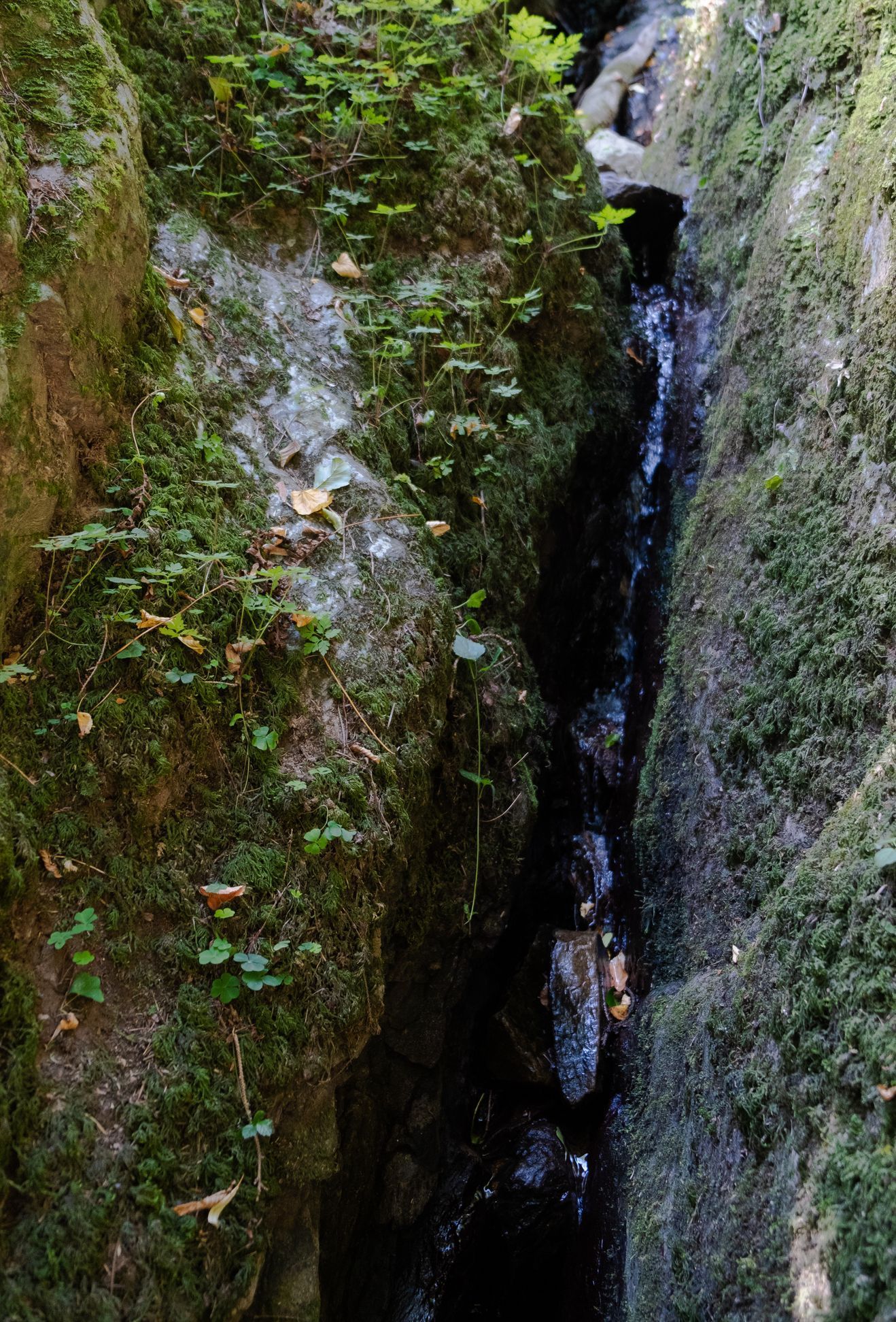 Údolí řeky Bobrovky