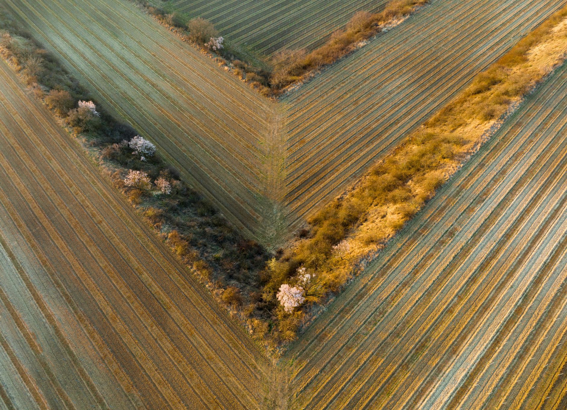 Moravské Slovácko, jižní Morava, fotografie z dronu, fotograf Radek Severa