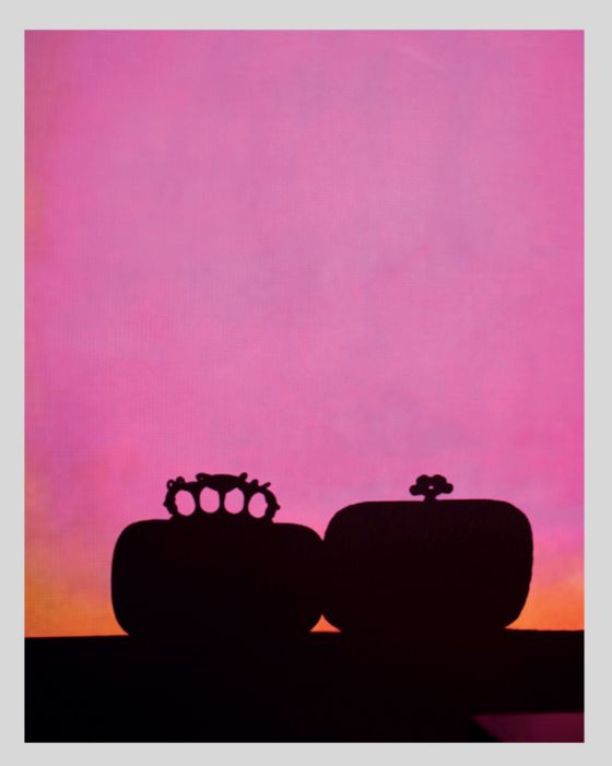 Kabelky pro Vogue.cs, 2020. | Foto: Repro z knihy Robert Vano (Universum)