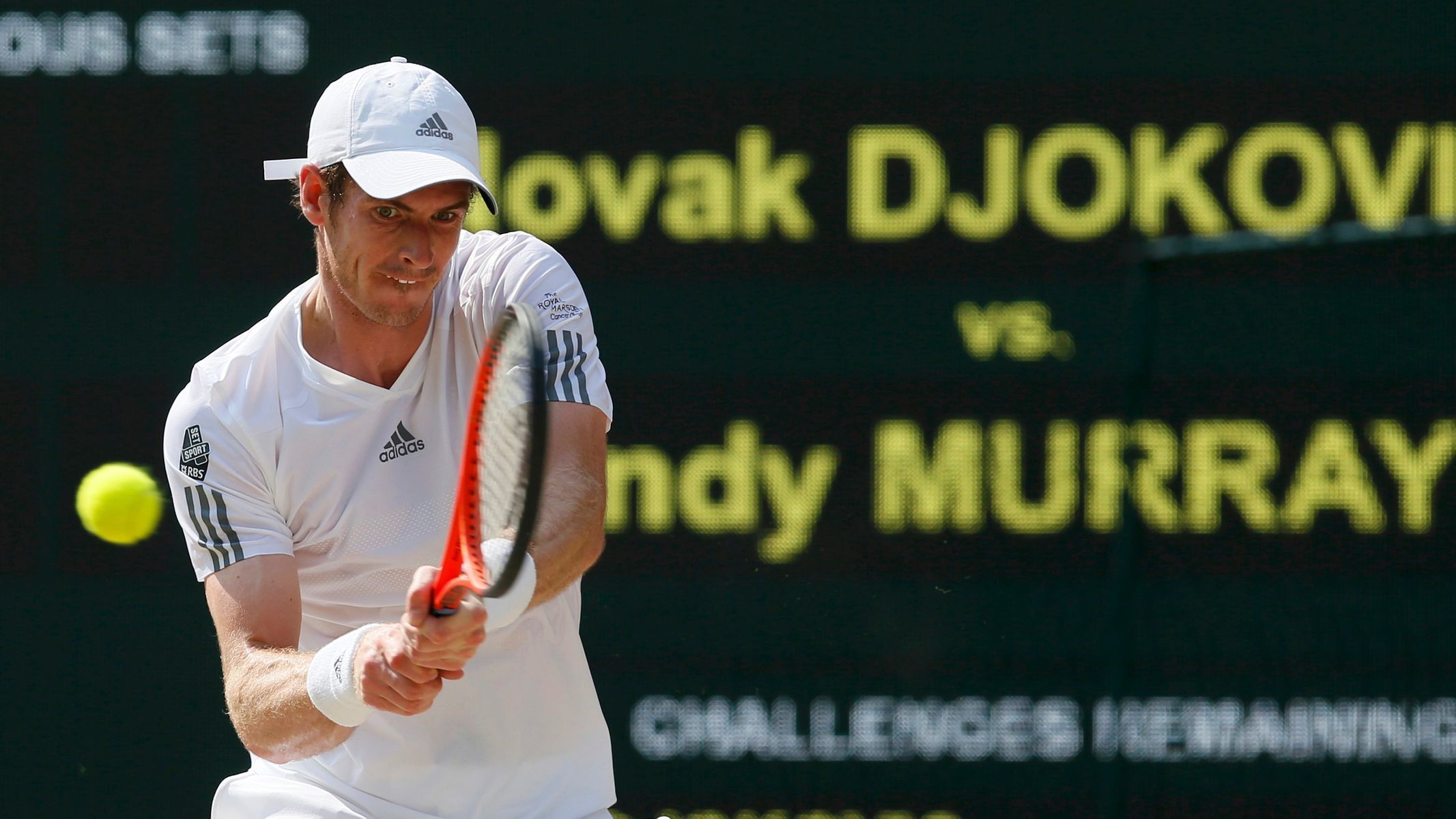 Andy Murray ve finále Wimbledonu 2013