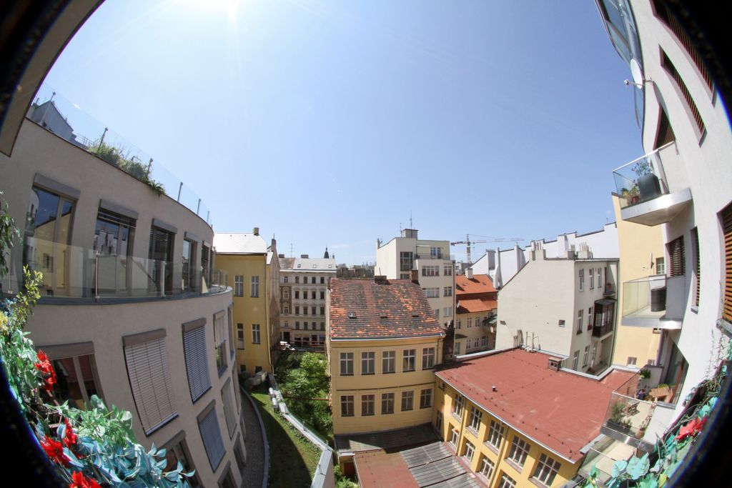 Galerie Myšák