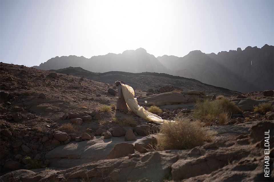 World Press Photo 2022 - regionální vítězové