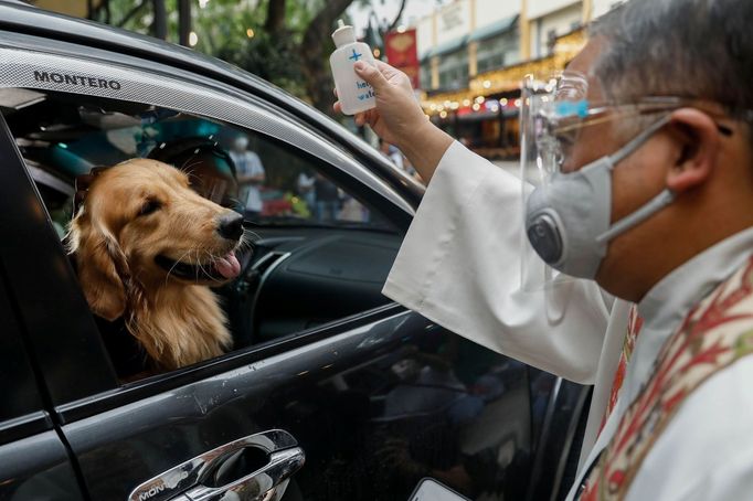 Svěcení domácích mazlíčků, Mezinárodní den zvířat, Filipíny, Manila