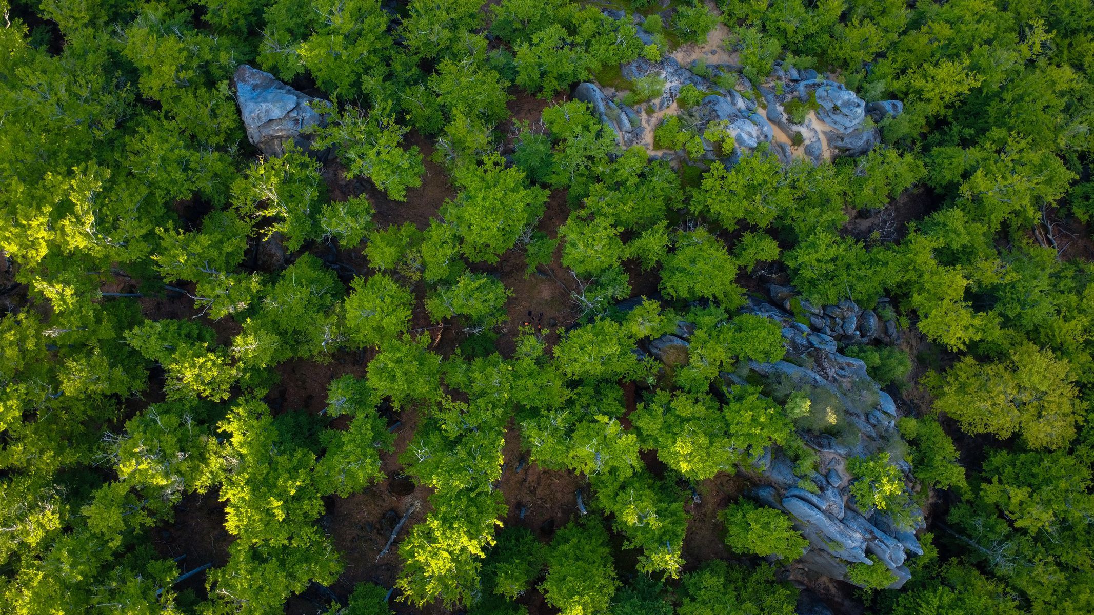 jizerské hory hausmanka