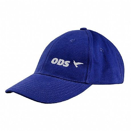 Jak se propagují strany - ODS