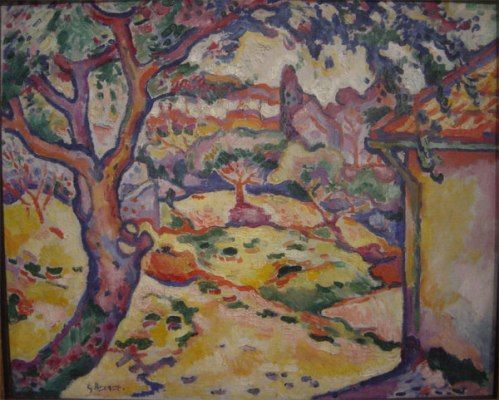 Brague - Olive Tree near Estaque