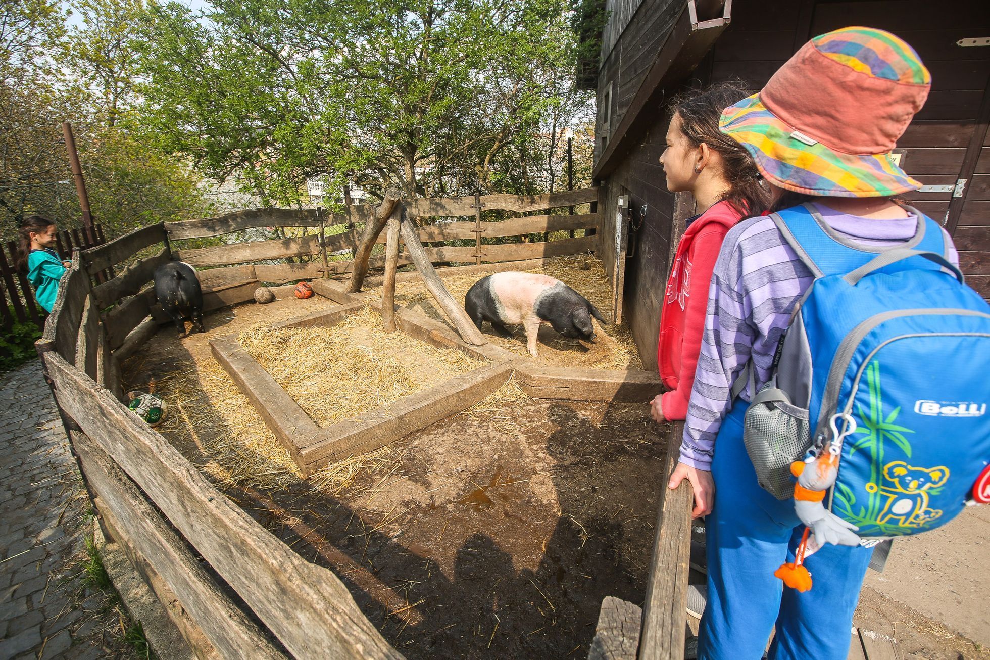 Toulcův dvůr, mokřad, park, louka, Praha Hostivař