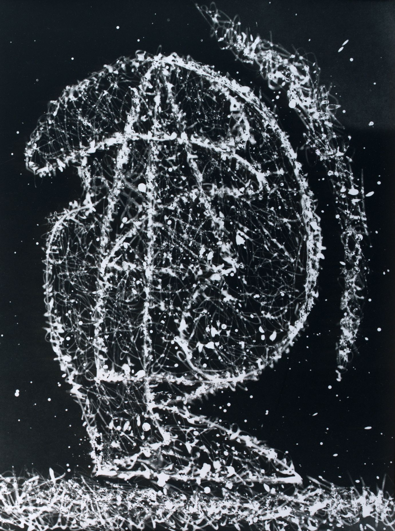 Výstava: Vilém Reichmann. Každá věc je počátkem básně, Vilém Reichmann, fotograf, výstava, Brno, Foto, Magazín