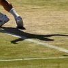 Wimbledon 2017: David Ferrer