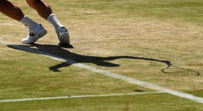 Wimbledon 2017: David Ferrer