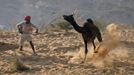 A camel herder attempts to control one of his camels at Pushkar Fair in the desert Indian state of Rajasthan November 23, 2012. Many international and domestic tourists throng to Pushkar to witness one of the most colourful and popular fairs in India. Thousands of animals, mainly camels, are brought to the fair to be sold and traded. REUTERS/Danish Siddiqui (INDIA - Tags: SOCIETY ANIMALS ENVIRONMENT) Published: Lis. 23, 2012, 8:08 dop.