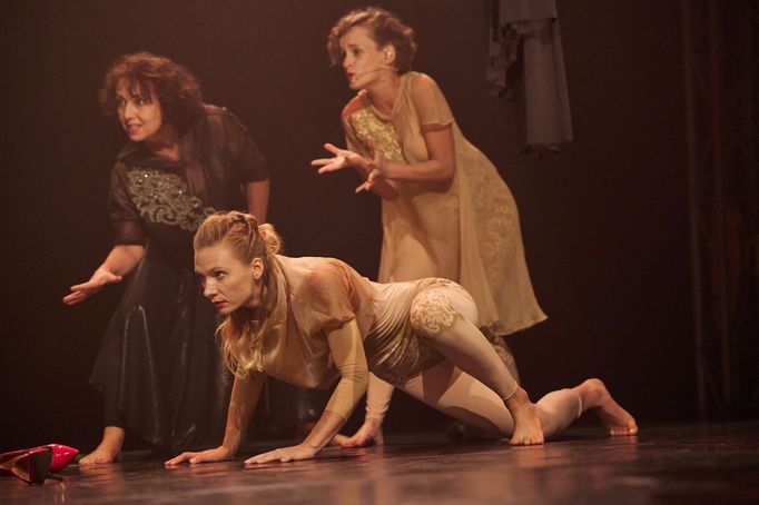 Snímek z inscenace The Same Self.