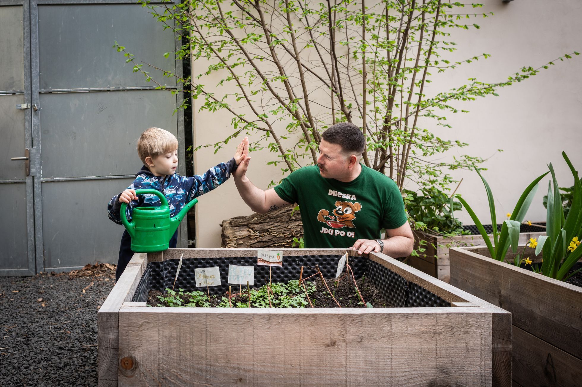 učitel, Karlín, mateřská školka, školka