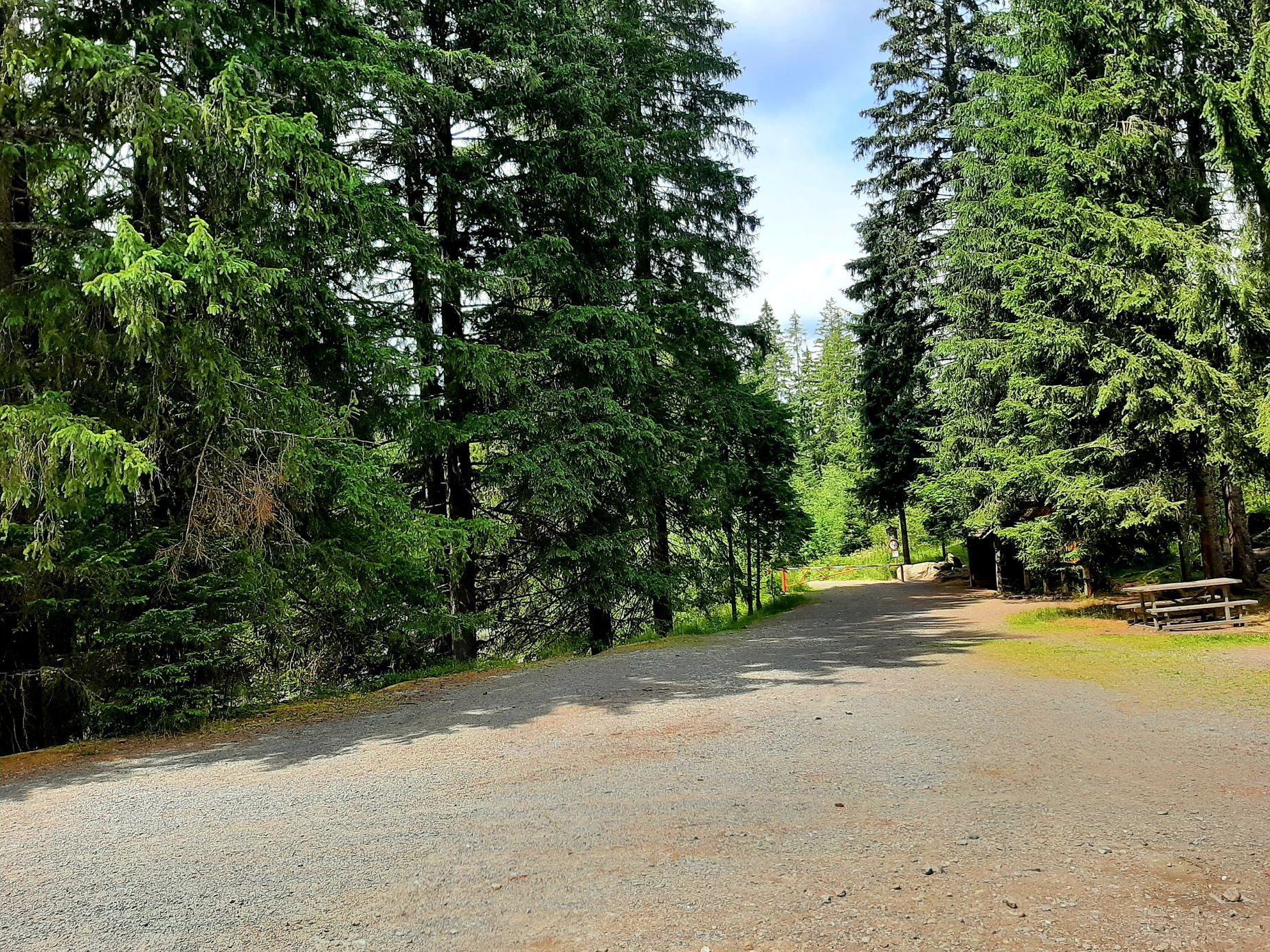 Šumava, Hamerský potok, Vydra