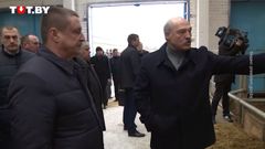 Běloruský prezident Alexander Lukašenko kritizoval chov krav ve špatných podmínkách.