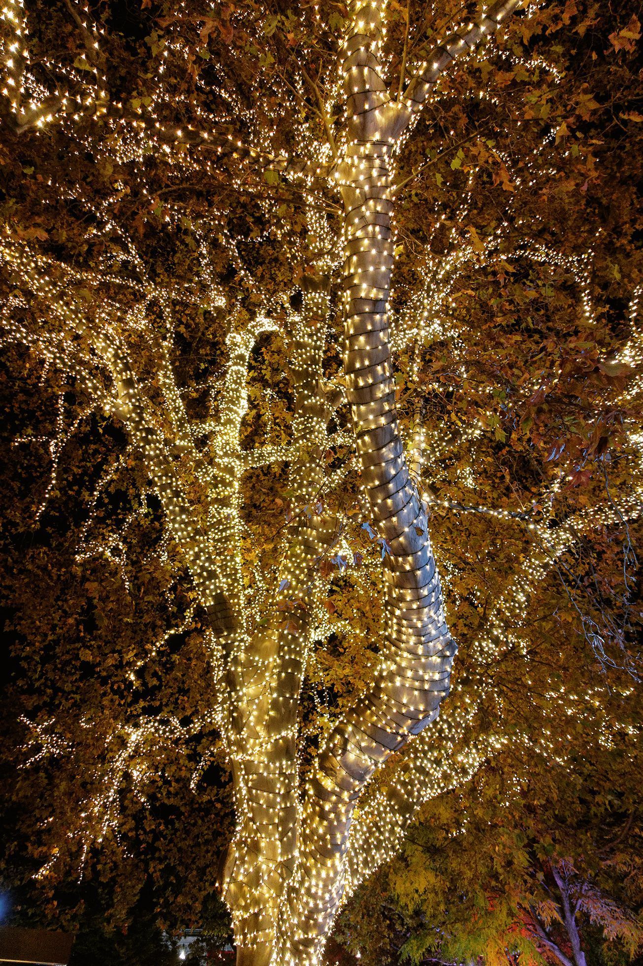 Top Foto 2023: Rok očima Tomáše Vocelky