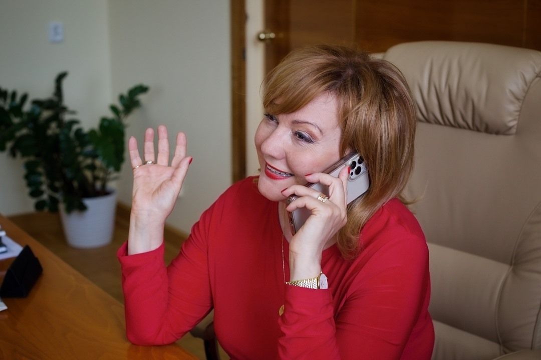 alena schillerová audit