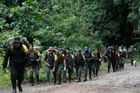 Konec války v Kolumbii ubližuje tamním lesům. Bývalé úkryty bojovníků FARC likviduje nelegální těžba