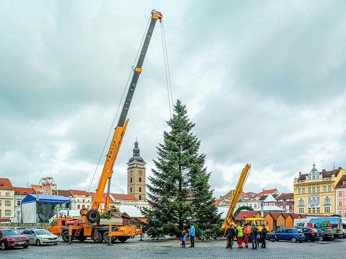 Instalace vánočního stromu na náměstí Přemysla Otakara II. v Českých Budějovicích, 17.11. 2023.