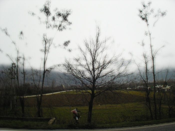 Eugeni Percossi - Forever