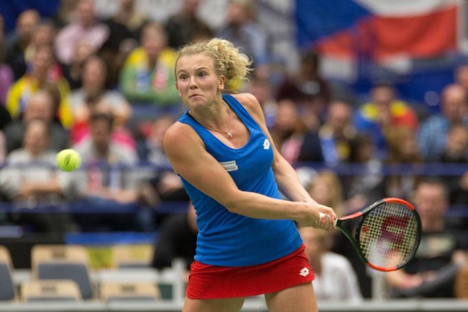 Siniaková vs. Buzarnescuová, Fed Cup, Česko vs. Rumunsko