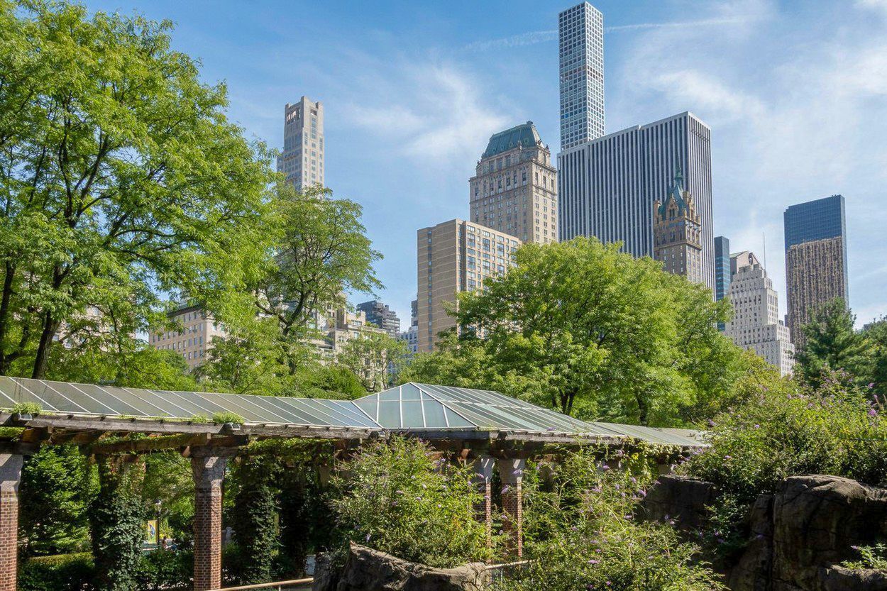 Central Park, New York, výročí, historie, USA, Zahraničí, park
