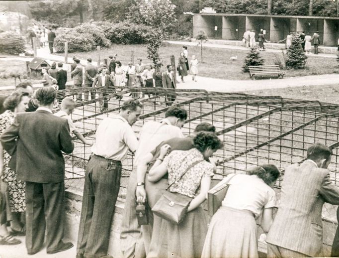 ZOO Liberec slaví 120 let od svého vzniku. Podívejte se na historické momenty a vývoj nejstarší zoologické zahrady v českých zemích od jejího založení v roce 1904.