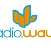 Český rozhlas - radio Wave