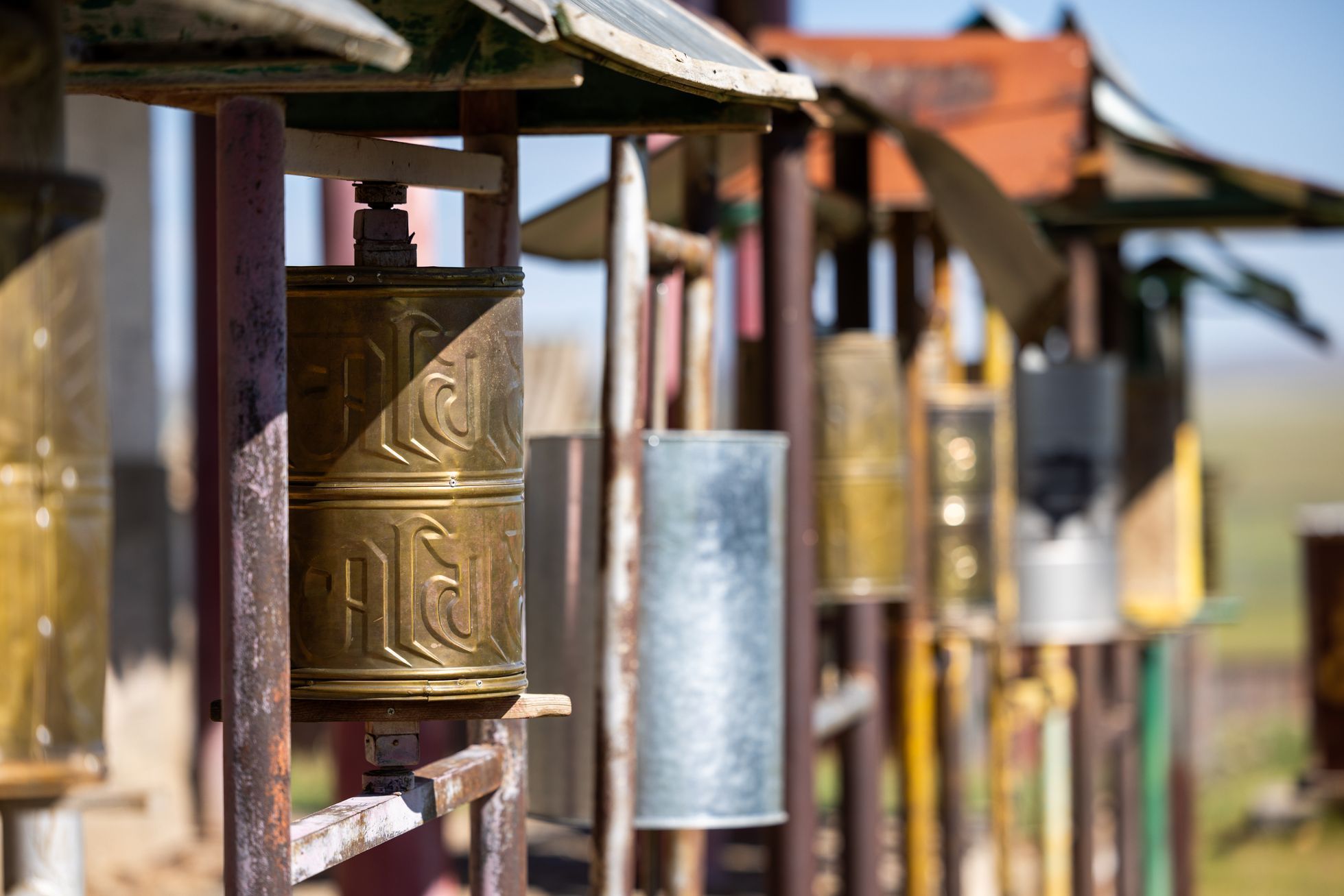 Žlutá žába Dan Přibáň