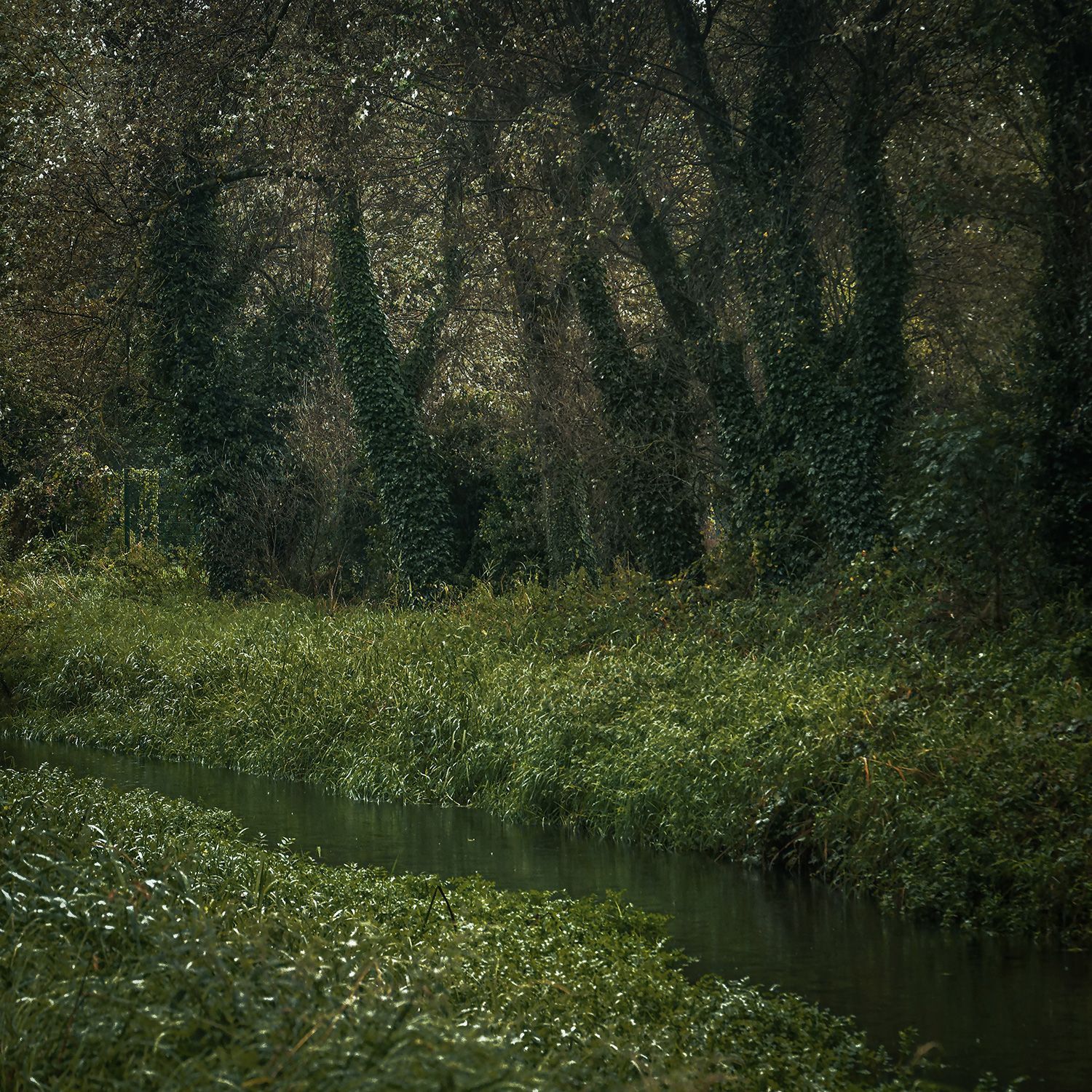 Tullamore, fotografie z města i z tamní výroby irské whiskey