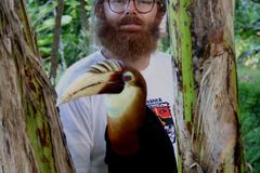 Čech postaví v džungli obří jeřáb. Zkoumá hmyz na stromech