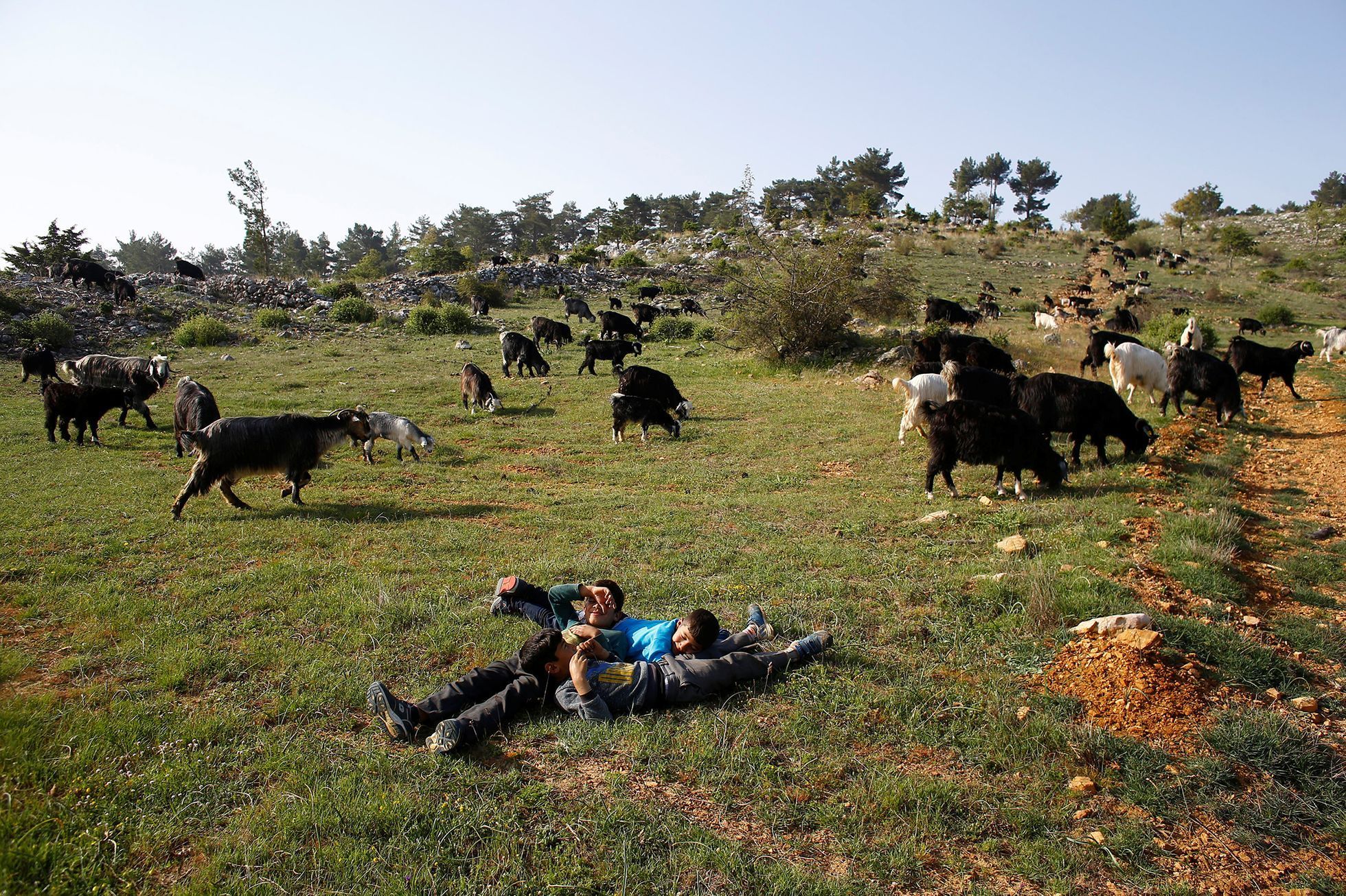 Fotogalerie / Nomádi v Turecku / Reuters / 1