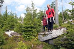 Česko špatně pečuje o Národní park Šumava, komerčních projektů je moc