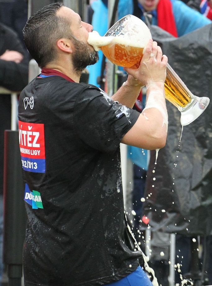 Fotbal, Gambrinus liga, Hradec Králové - Plzeň: Pavel Horváth