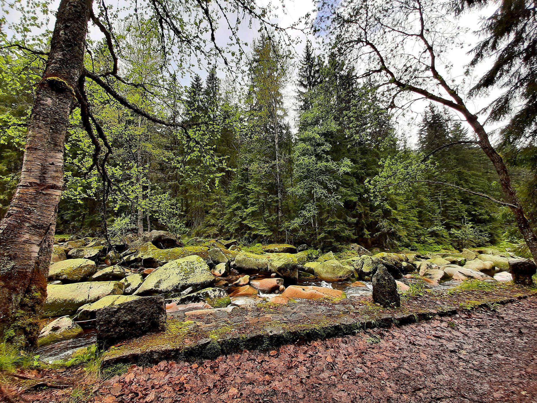 Povydří