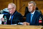 Velké finále Čapího hnízda: Zrušte osvobozující rozsudek nad Babišem, žádá žalobce