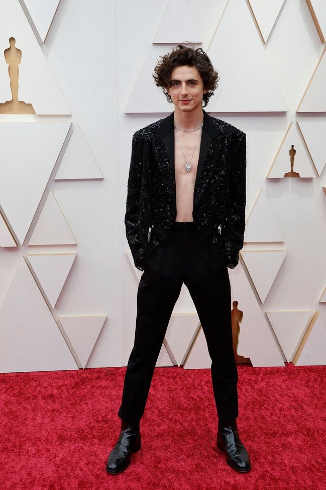 Červený koberec - Timothée Chalamet