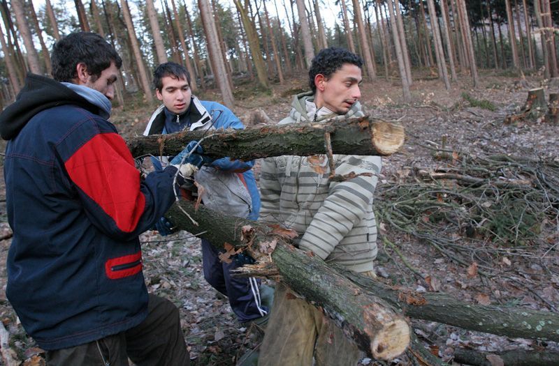 Úklid pasek v Krušných horách